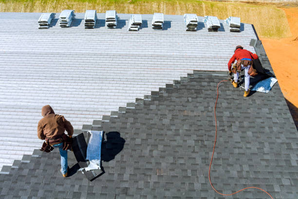 Best Storm Damage Roof Repair  in Mapleton, ND