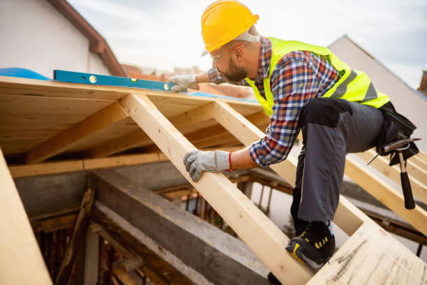 Best Roof Maintenance Services  in Mapleton, ND