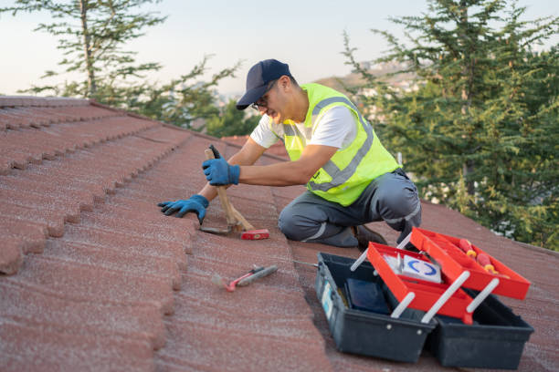 Best Commercial Roofing Services  in Mapleton, ND