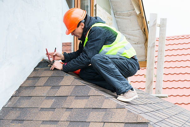 Best Affordable Roofing Company  in Mapleton, ND